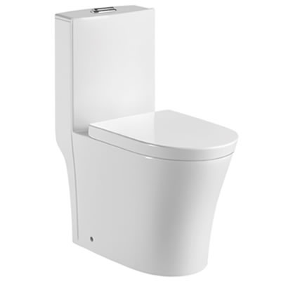 WC-764 Washdown Rimless One Piece Water Closet Image