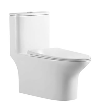 WC-765 Washdown Rimless One Piece Water Closet Image