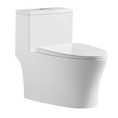 Washdown Rimless One Piece Water Closet Image