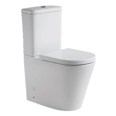 WC-318 Washdown Two Piece Water Closet Image