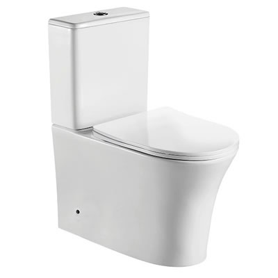 WC-418 Washdown Rimless Two Piece Water Closet Image