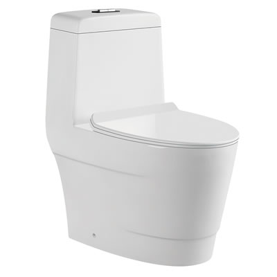 WC-732 Wash Down One Piece Water Closet Image
