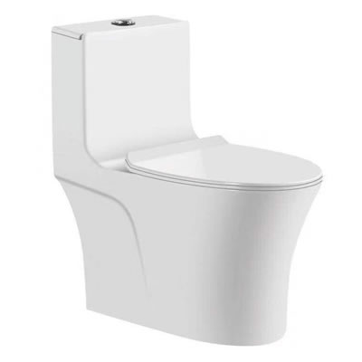 WC-753 Wash Down One Piece Water Closet Image