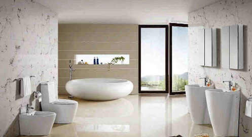 One Piece Water Closet Image